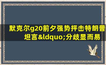 默克尔g20前夕强势抨击特朗普 坦言“分歧显而易见”